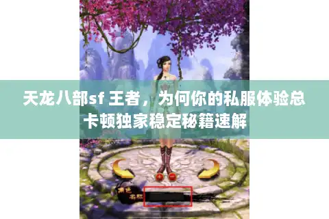 天龙八部sf 王者，为何你的私服体验总卡顿独家稳定秘籍速解