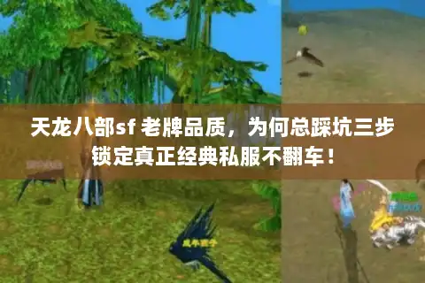 天龙八部sf 老牌品质，为何总踩坑三步锁定真正经典私服不翻车！