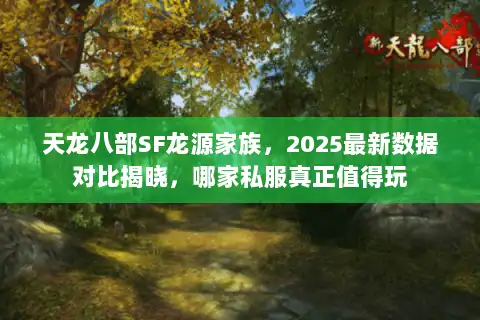 天龙八部SF龙源家族,2025最新数据对比揭晓,哪家私服真正值得玩 天龙八部SF龙源家族,2025最新数据对比揭晓,哪家私服真正值得玩