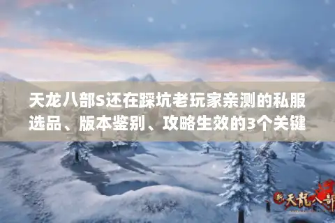 天龙八部S还在踩坑老玩家亲测的私服选品、版本鉴别、攻略生效的3个关键 天龙八部S还在踩坑老玩家亲测的私服选品、版本鉴别、攻略生效的3个关键
