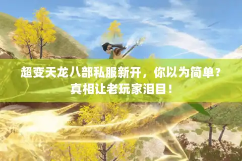 超变天龙八部私服新开，你以为简单？真相让老玩家泪目！