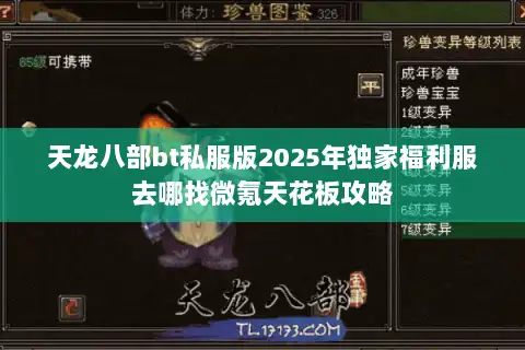 天龙八部bt私服版2025年独家福利服去哪找微氪天花板攻略