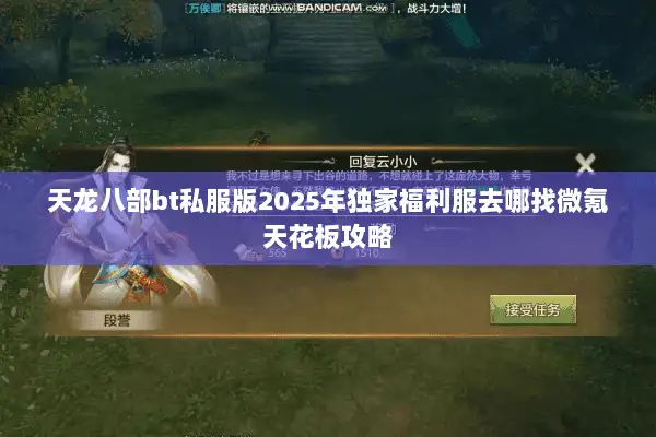 天龙八部bt私服版2025年独家福利服去哪找微氪天花板攻略