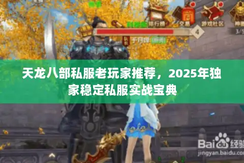天龙八部私服老玩家推荐，2025年独家稳定私服实战宝典