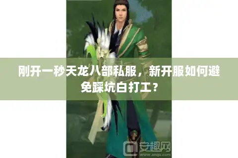 刚开一秒天龙八部私服,新开服如何避免踩坑白打工? 刚开一秒天龙八部私服,新开服如何避免踩坑白打工?