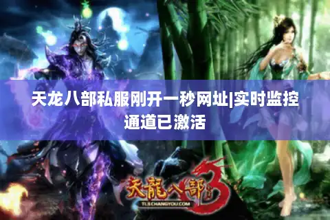 天龙八部私服刚开一秒网址|实时监控通道已激活
