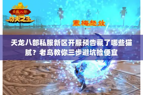 天龙八部私服新区开服预告藏了哪些猫腻？老鸟教你三步避坑捡便宜