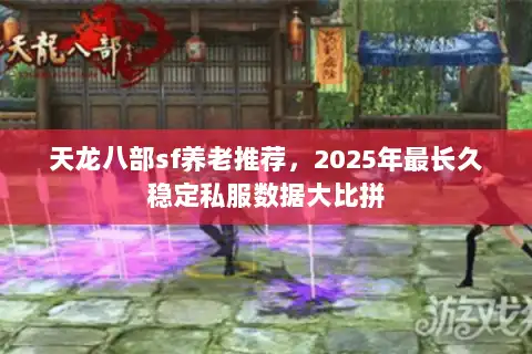 天龙八部sf养老推荐，2025年最长久稳定私服数据大比拼