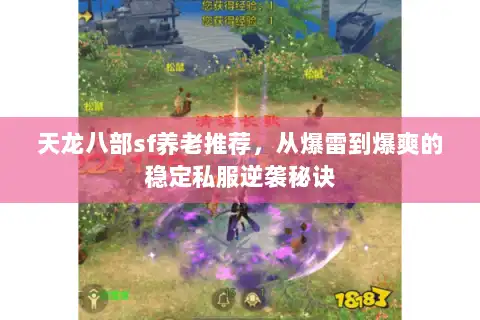 天龙八部sf养老推荐,从爆雷到爆爽的稳定私服逆袭秘诀 天龙八部sf养老推荐,从爆雷到爆爽的稳定私服逆袭秘诀