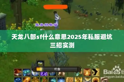 天龙八部sf什么意思2025年私服避坑三招实测 天龙八部sf什么意思2025年私服避坑三招实测