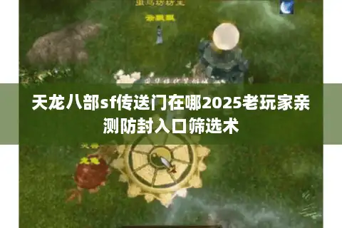 天龙八部sf传送门在哪2025老玩家亲测防封入口筛选术