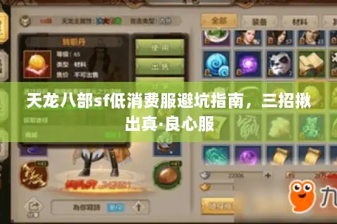 天龙八部sf低消费服避坑指南，三招揪出真·良心服