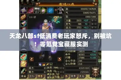 天龙八部sf低消费老玩家怒斥，别被坑！零氪党宝藏服实测