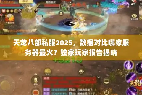 天龙八部私服2025,数据对比哪家服务器最火?独家玩家报告揭晓 天龙八部私服2025,数据对比哪家服务器最火?独家玩家报告揭晓