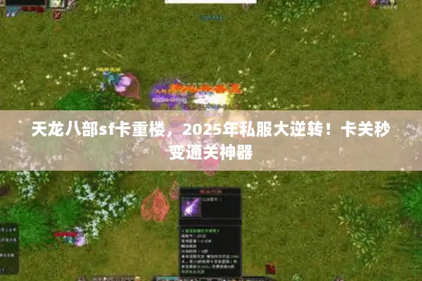 天龙八部sf卡重楼，2025年私服大逆转！卡关秒变通关神器
