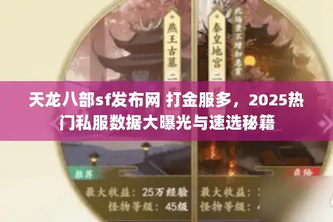 天龙八部sf发布网 打金服多,2025热门私服数据大曝光与速选秘籍 天龙八部sf发布网 打金服多,2025热门私服数据大曝光与速选秘籍