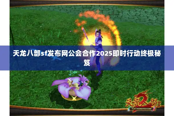 天龙八部sf发布网公会合作2025即时行动终极秘笈