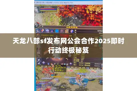 天龙八部sf发布网公会合作2025即时行动终极秘笈
