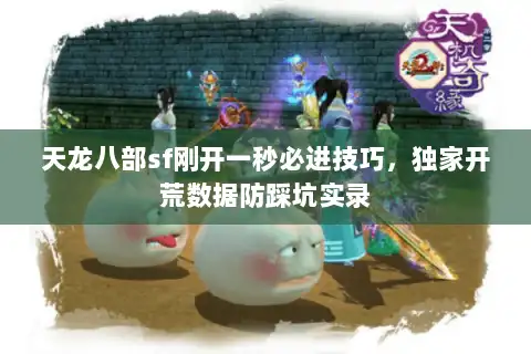 天龙八部sf刚开一秒必进技巧,独家开荒数据防踩坑实录 天龙八部sf刚开一秒必进技巧,独家开荒数据防踩坑实录