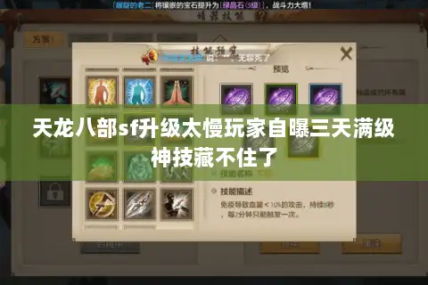 天龙八部sf升级太慢玩家自曝三天满级神技藏不住了