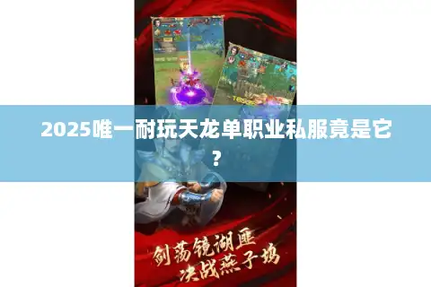 2025唯一耐玩天龙单职业私服竟是它？