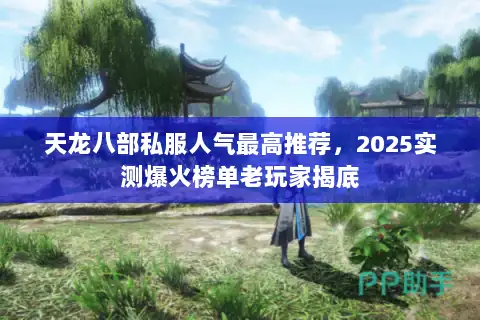 天龙八部私服人气最高推荐，2025实测爆火榜单老玩家揭底