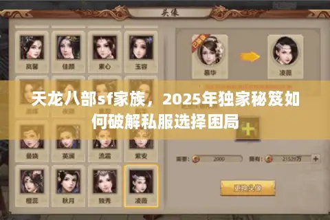 天龙八部sf家族，2025年独家秘笈如何破解私服选择困局