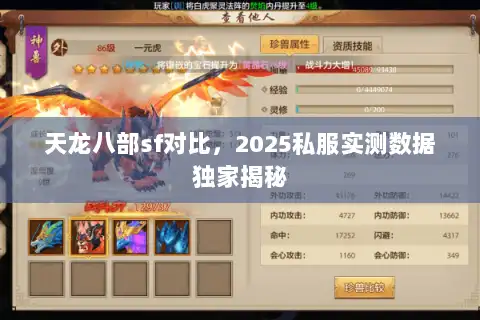 天龙八部sf对比，2025私服实测数据独家揭秘