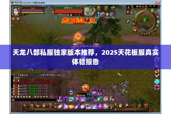 天龙八部私服独家版本推荐,2025天花板服真实体验报告 天龙八部私服独家版本推荐,2025天花板服真实体验报告