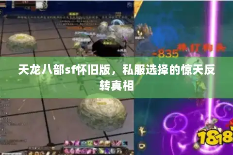 天龙八部sf怀旧版，私服选择的惊天反转真相