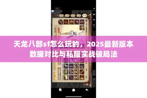 天龙八部sf怎么玩的，2025最新版本数据对比与私服实战破局法