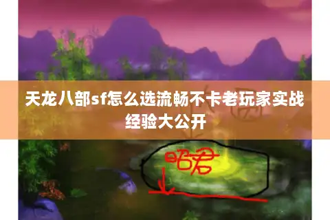 天龙八部sf怎么选流畅不卡老玩家实战经验大公开