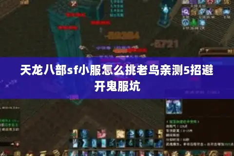 天龙八部sf小服怎么挑老鸟亲测5招避开鬼服坑