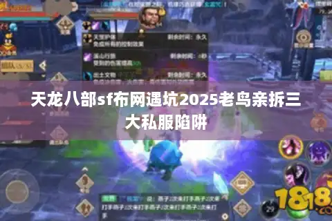天龙八部sf布网遇坑2025老鸟亲拆三大私服陷阱