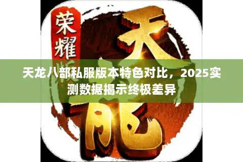 天龙八部私服版本特色对比，2025实测数据揭示终极差异