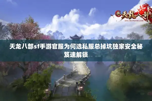 天龙八部sf手游官服为何选私服总掉坑独家安全秘笈速解锁