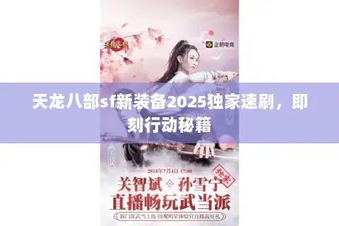 天龙八部sf新装备2025独家速刷，即刻行动秘籍