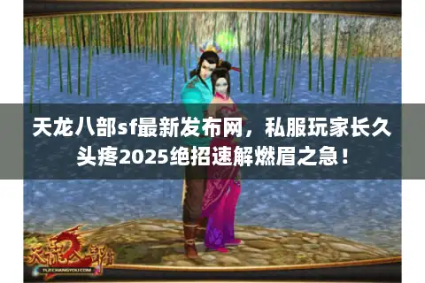 天龙八部sf最新发布网，私服玩家长久头疼2025绝招速解燃眉之急！