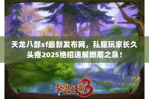 天龙八部sf最新发布网，私服玩家长久头疼2025绝招速解燃眉之急！