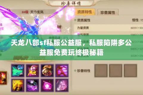 天龙八部sf私服公益服，私服陷阱多公益服免费玩终极秘籍
