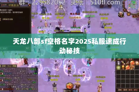 天龙八部sf空格名字2025私服速成行动秘技