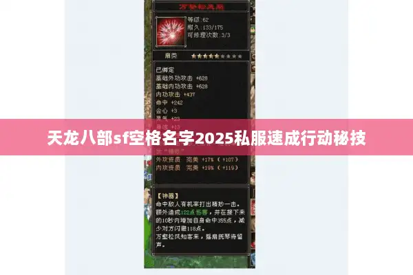 天龙八部sf空格名字2025私服速成行动秘技