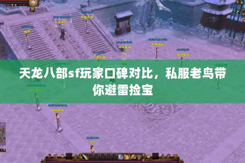 天龙八部sf玩家口碑对比，私服老鸟带你避雷捡宝