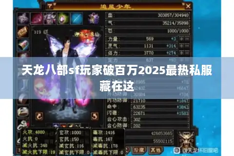 天龙八部sf玩家破百万2025最热私服藏在这 天龙八部sf玩家破百万2025最热私服藏在这