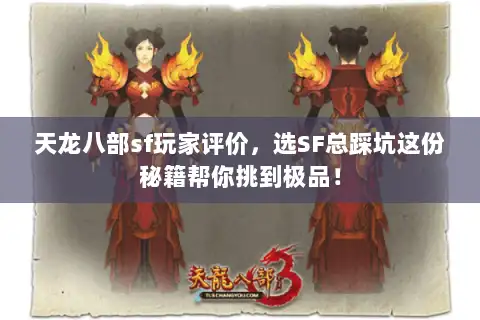 天龙八部sf玩家评价，选SF总踩坑这份秘籍帮你挑到极品！