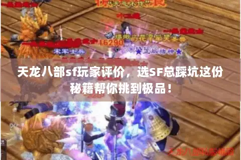 天龙八部sf玩家评价，选SF总踩坑这份秘籍帮你挑到极品！