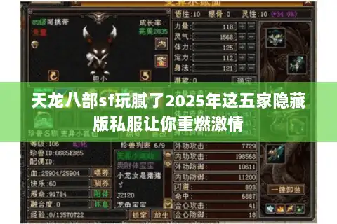 天龙八部sf玩腻了2025年这五家隐藏版私服让你重燃激情