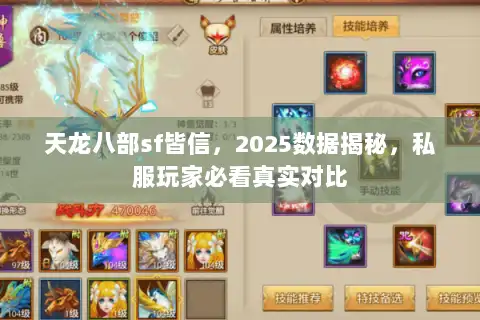 天龙八部sf皆信，2025数据揭秘，私服玩家必看真实对比