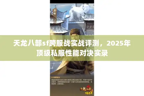 天龙八部sf跨服战实战评测，2025年顶级私服性能对决实录