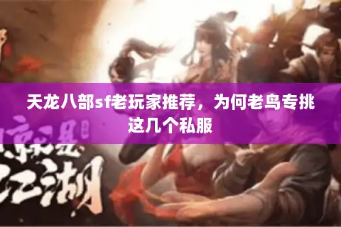 天龙八部sf老玩家推荐，为何老鸟专挑这几个私服
